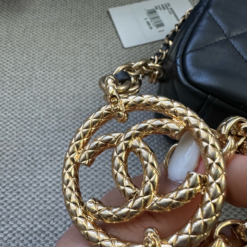 Chanel Camera Case - Picture 12 of 16